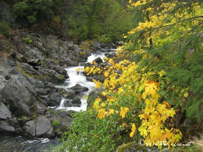 Water fall on the Feather River