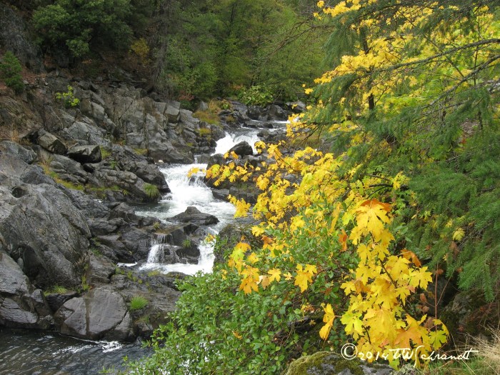 Water fall on the Feather River