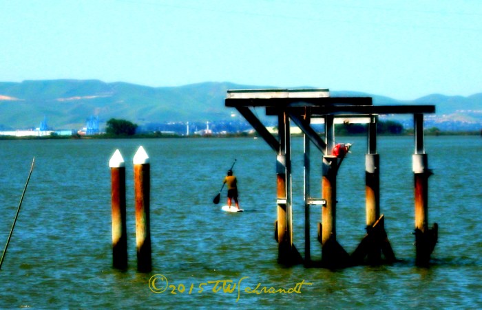 Stand-up Paddle
