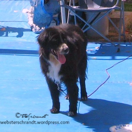 Oreo-Loved-the Delta