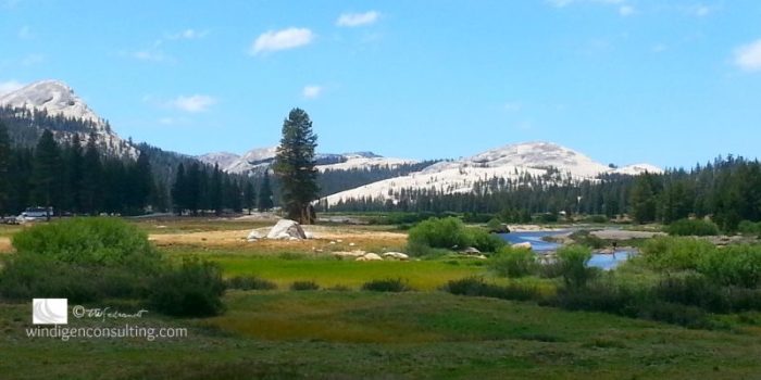 Tuolumne Meadows