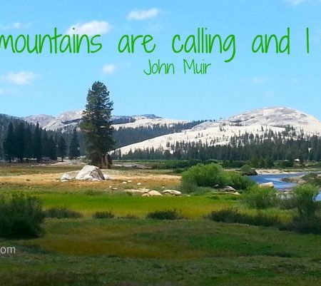 Tuolumne Meadows