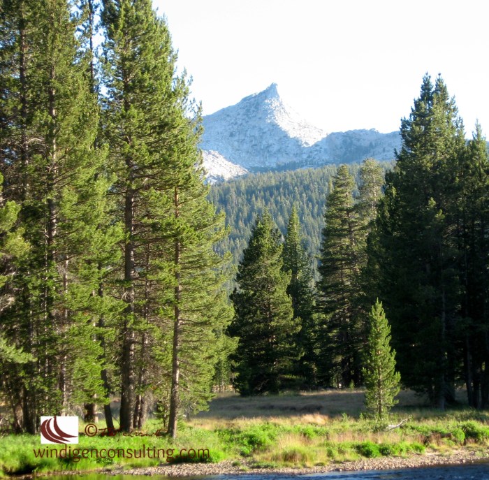 Unicorn Peak overlooks Tuolumne Meadows