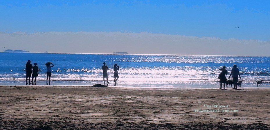 Christmas-in-San-Diego