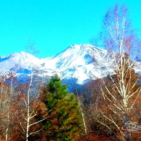 Mt-Shasta
