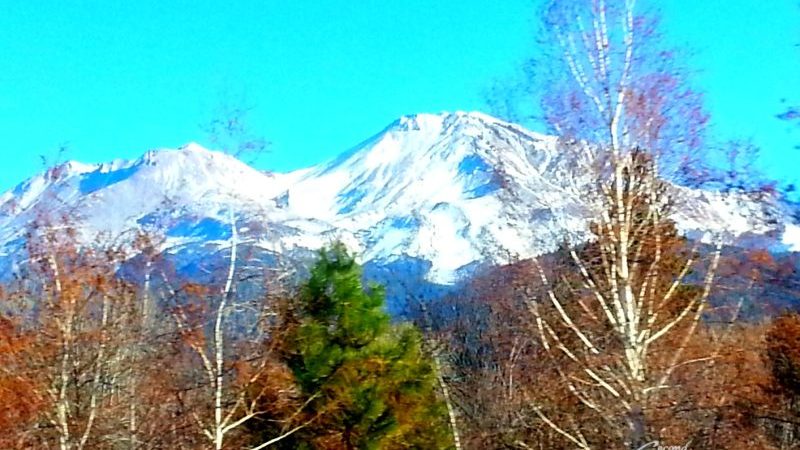Mt-Shasta