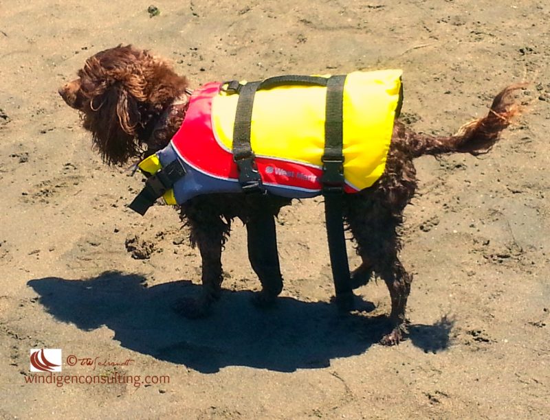 Vivid Aero: Life Jackets for&nbsp;All