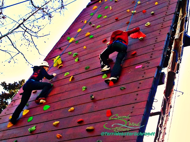 Climbing-Wall