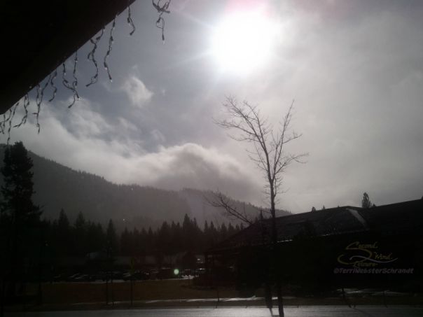 Foggy-Winter-Sunrise