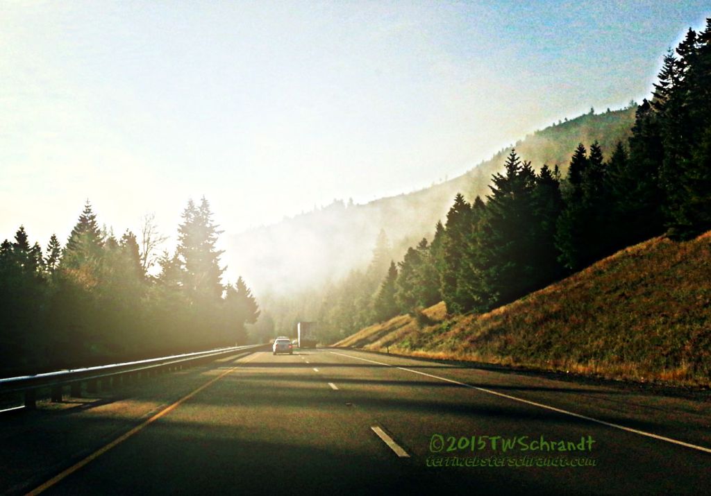 Weekend Coffee Share: Road Trip&nbsp;North