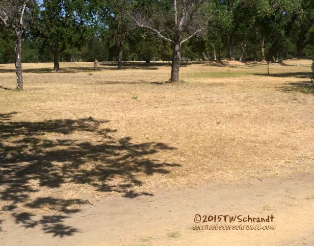 Dry Park during droubt