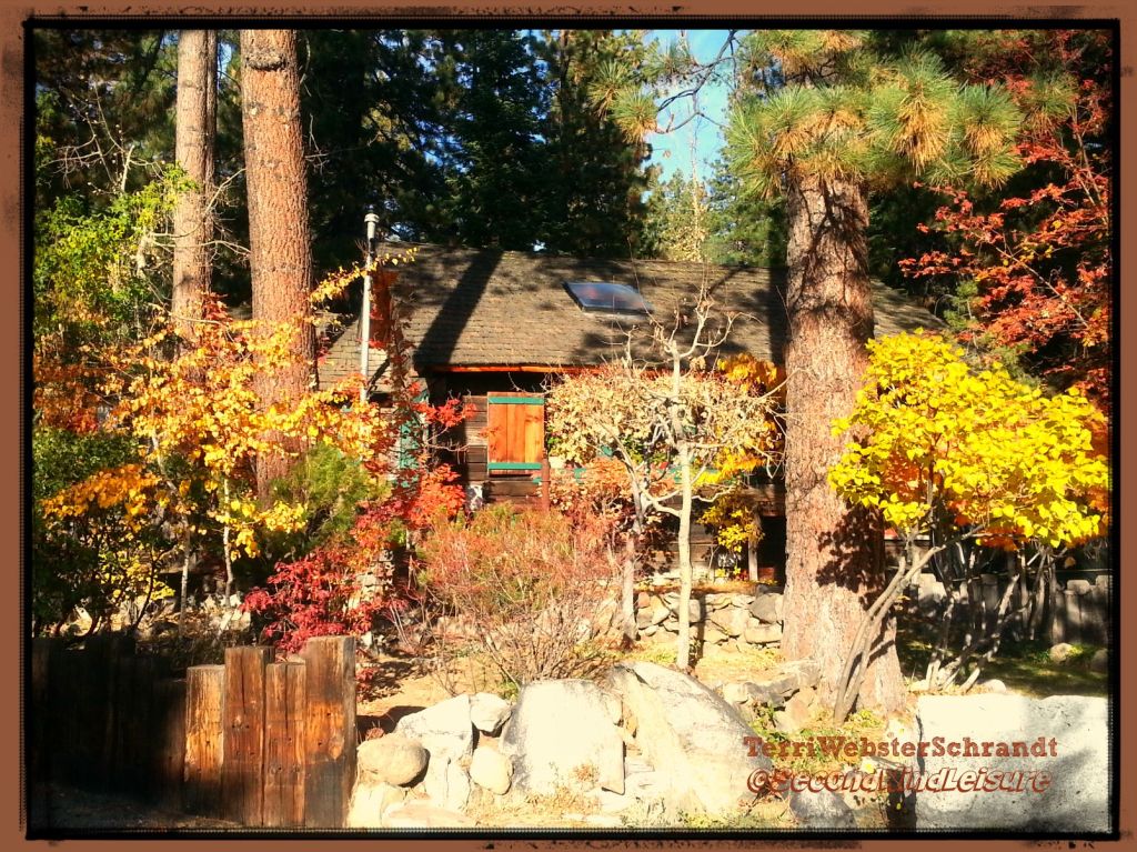 Sunday Stills: Hints of #Autumn (or&nbsp;Spring)