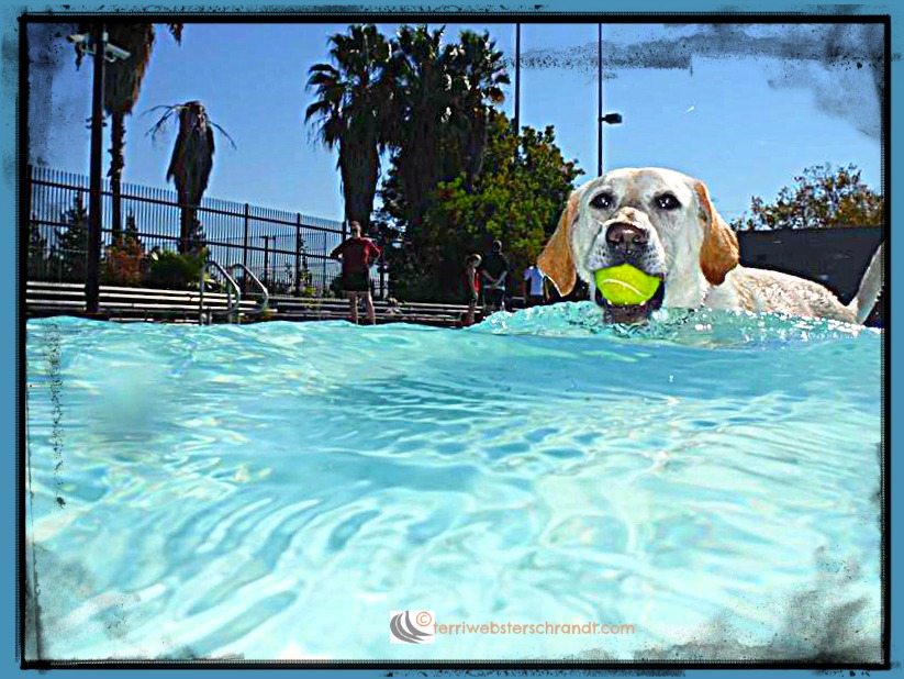 Boundaries of Leisure Provide&nbsp;Joy