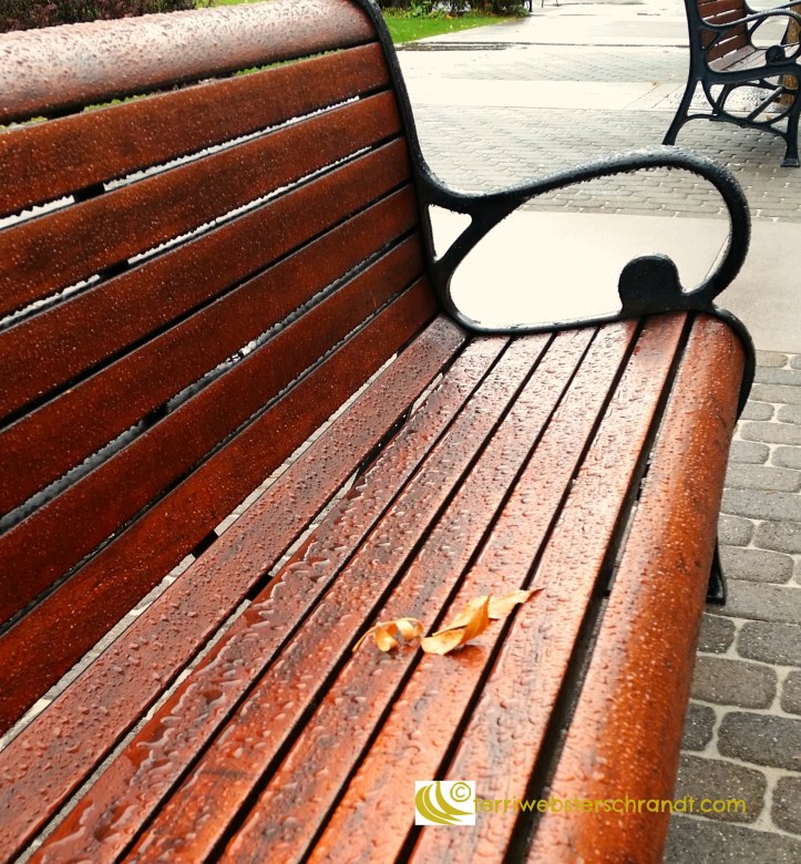 Leaf on a bench
