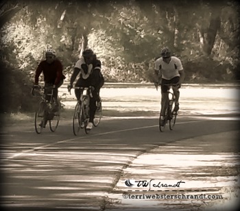 Cyclists ride in twilight