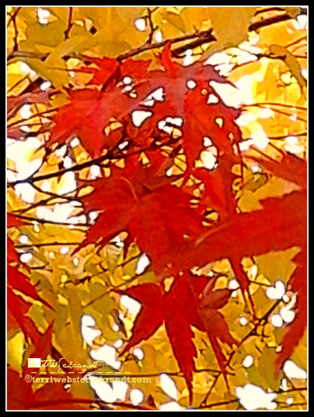 Weekly Photo Challenge: Fall&nbsp;Transition
