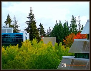 Roof Top View as seen from Sacramento State University