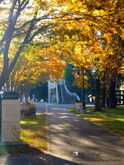 autumn Sacramento State Univ
