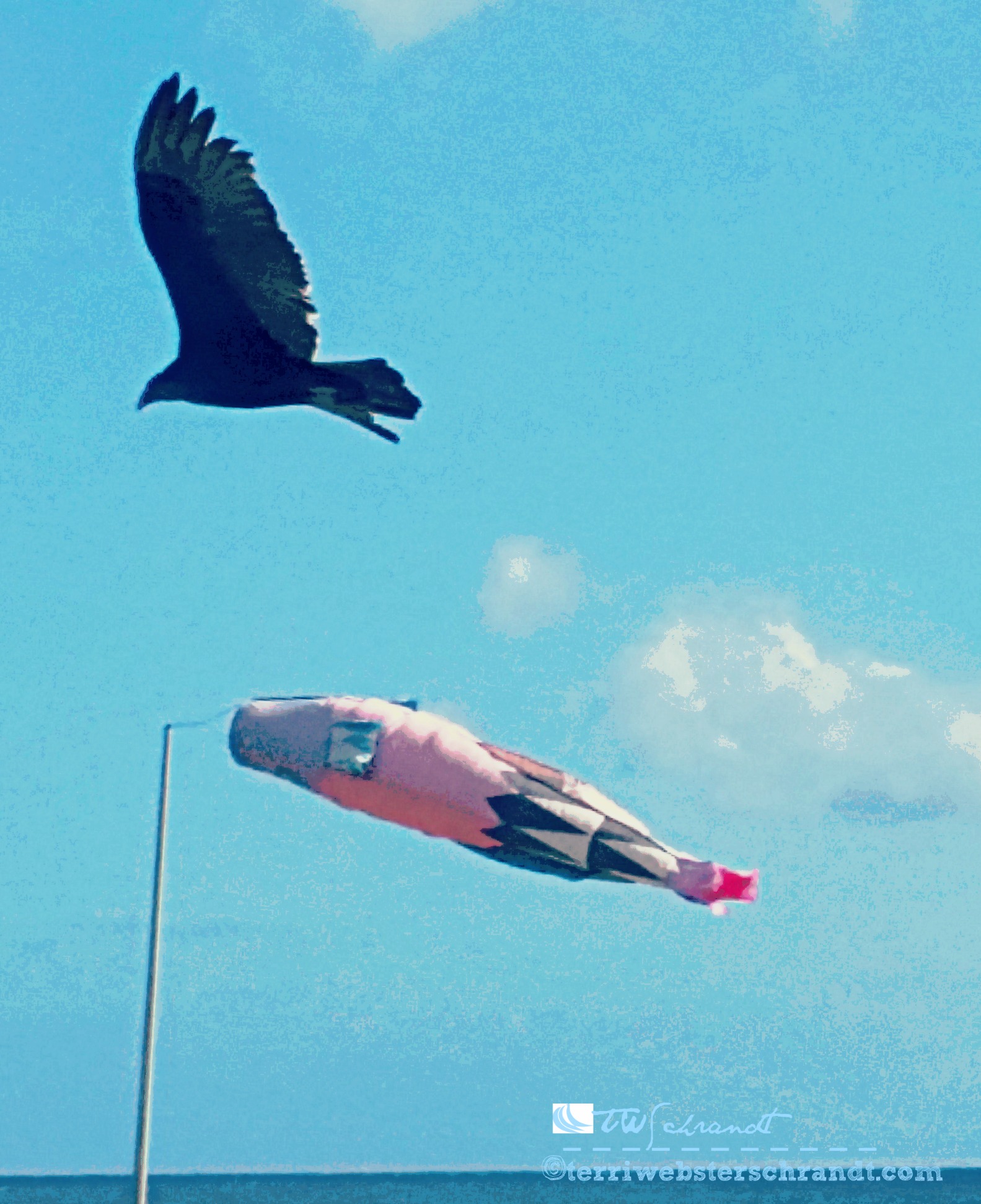 Weightless Wings