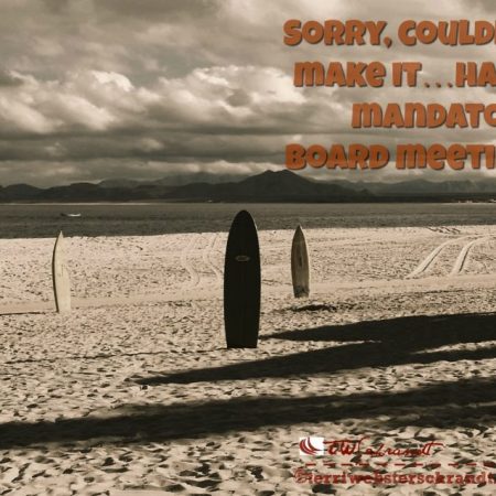 Sorry, couldn’t make it…had a mandatory board meeting.