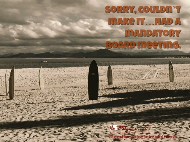 Sorry, couldn’t make it…had a mandatory board meeting.