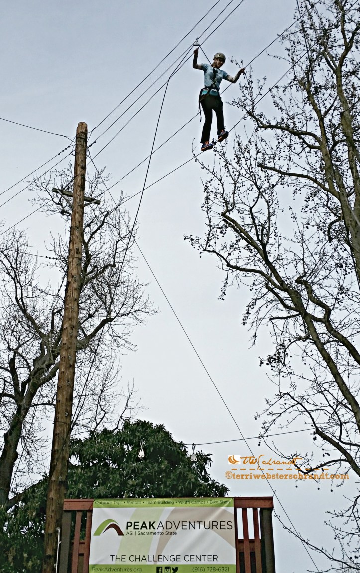 Student crosses the highwire at the Peak Adventures Challenge Course