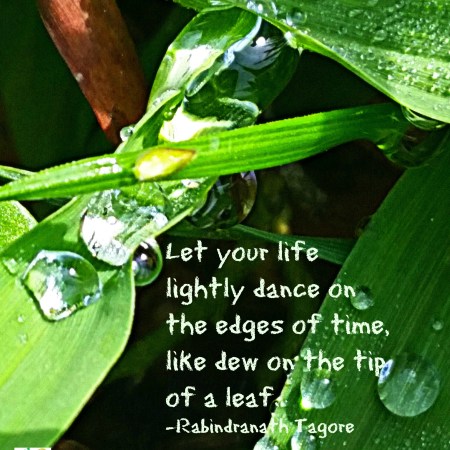Let your life lightly dance like dew on the tip of a leaf