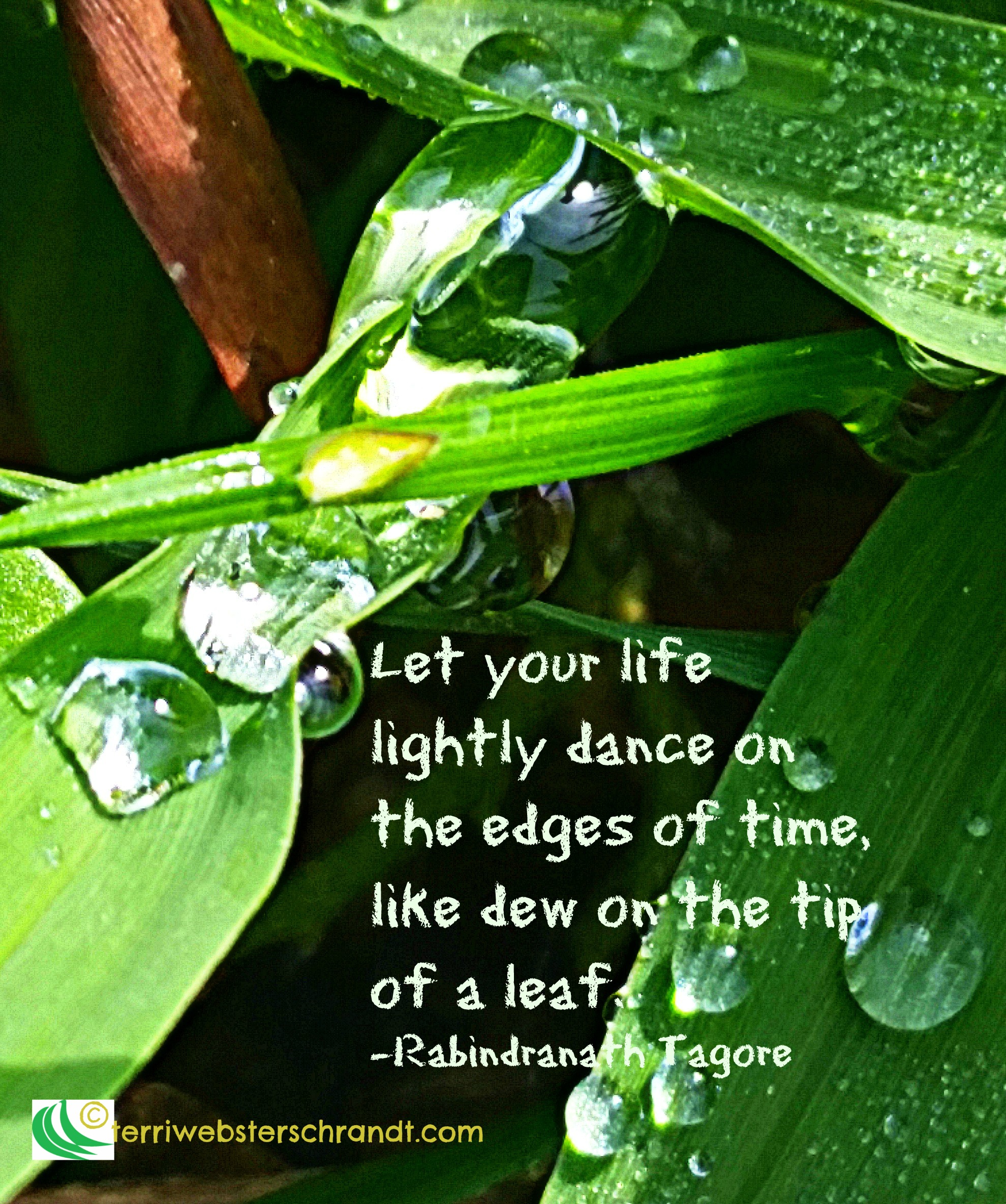 Let your life lightly dance like dew on the tip of a leaf