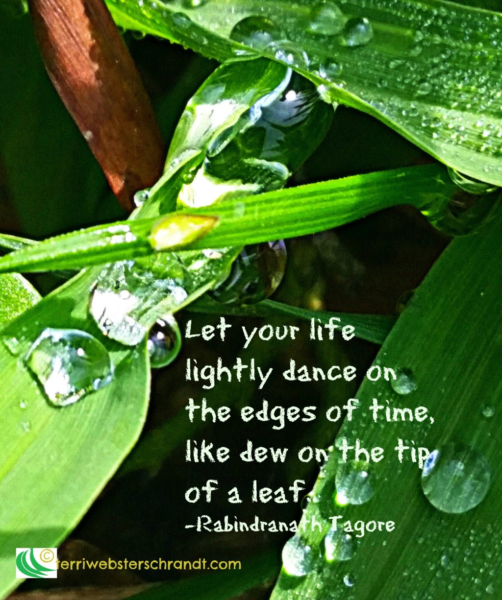 Weekly Photo Challenge: Rain&nbsp;Dance