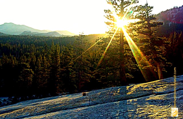 Half light of Tuolumne Meadows sunset