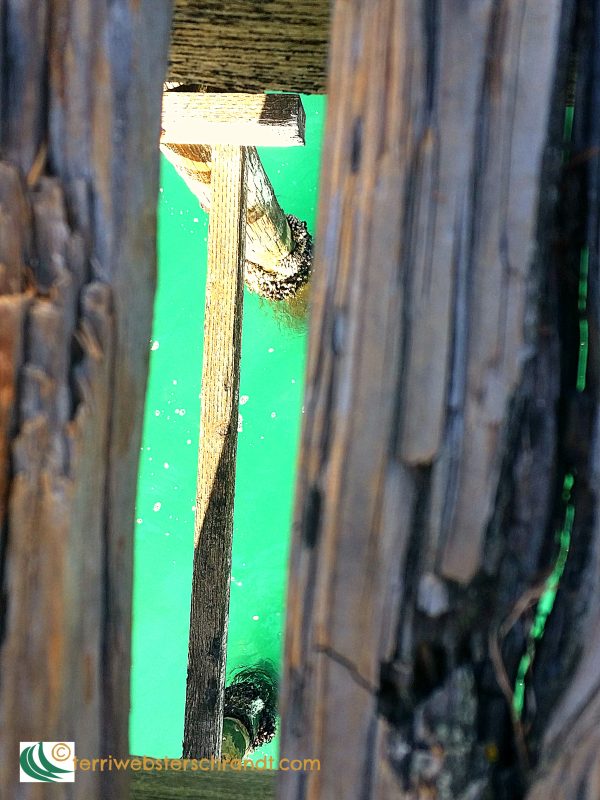 What Lies Beneath the&nbsp;Gap?