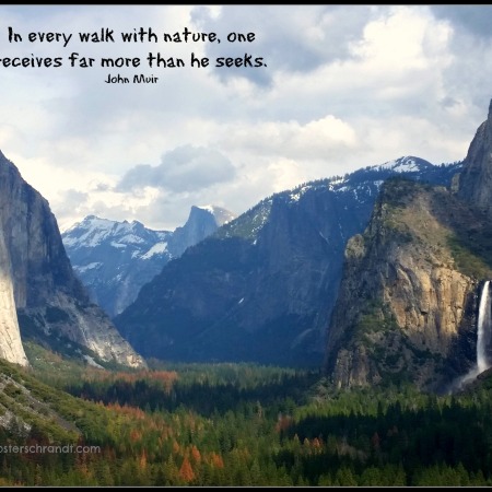 In every walk with nature...Muir