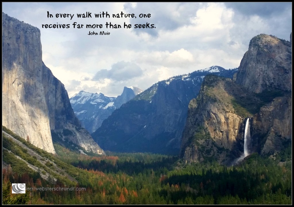 What Do You Receive in Your Walk with&nbsp;Nature?