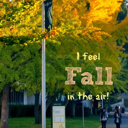 Autumn descends on students