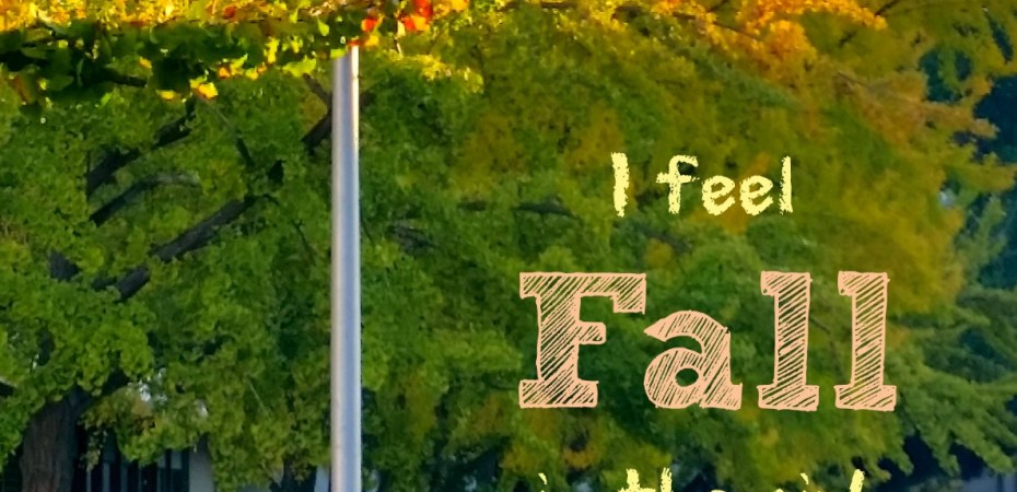 Autumn descends on students