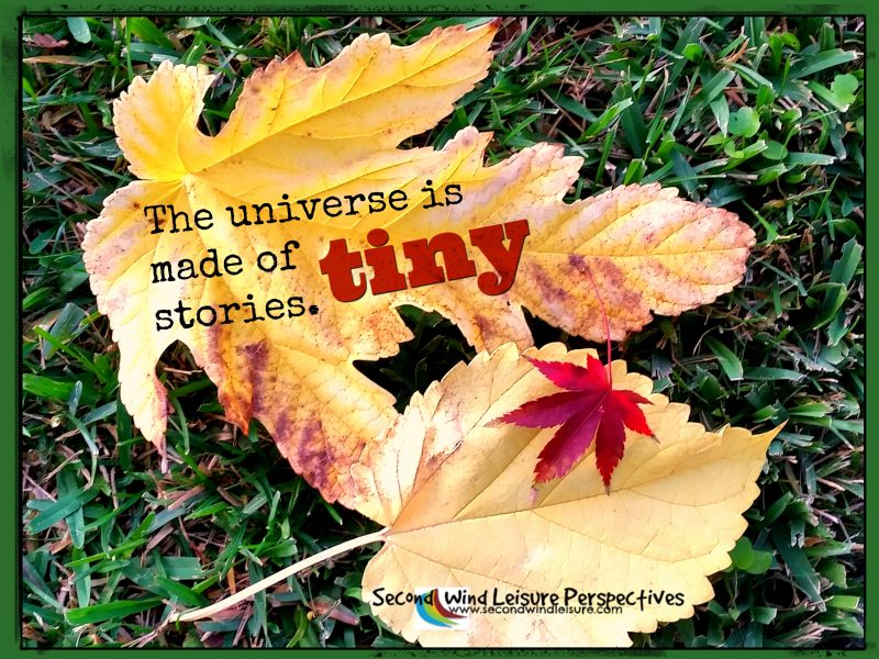The Universe is Made of TINY&nbsp;Stories