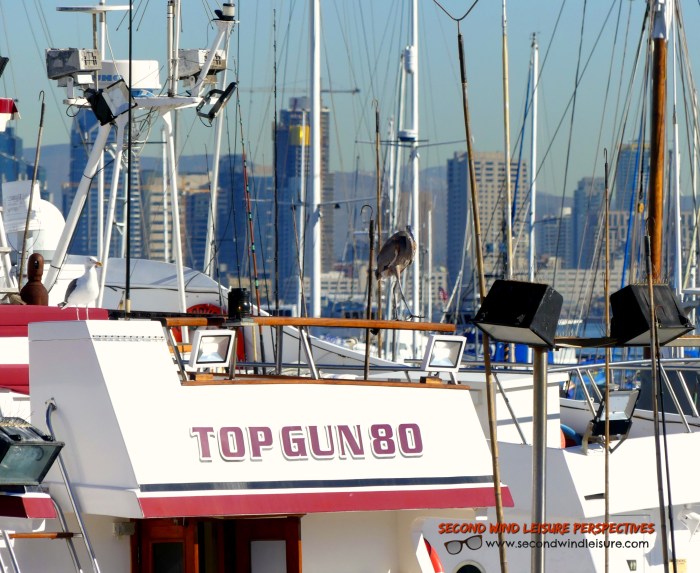 Boat name Top Gun80 anchored near downtown San Diego
