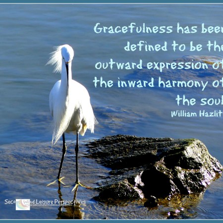 Gracefulness Quote