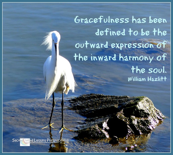 Gracefulness Quote