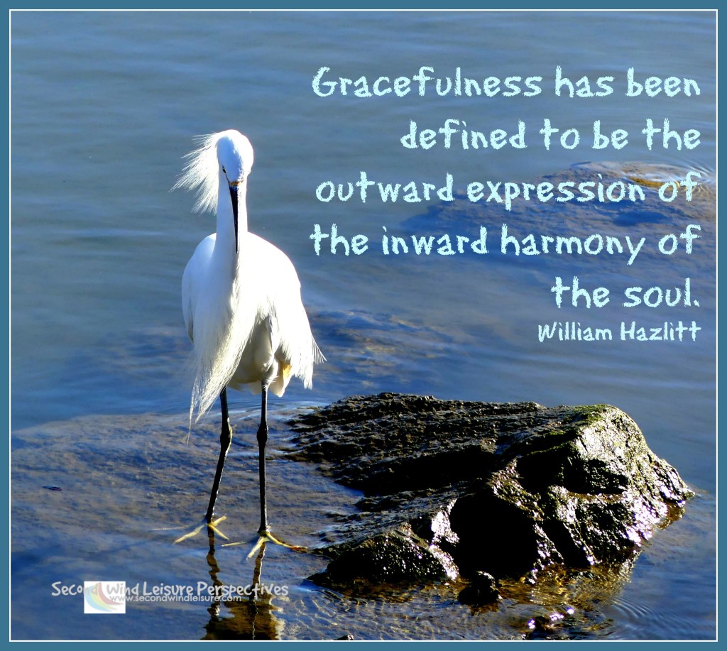 Weekly Photo Challenge: Gracefulness&nbsp;Defined