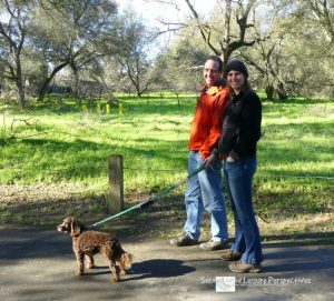 Dog walking on a winter day
