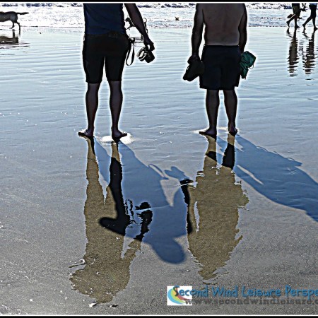 Legs cast shadows and reflections