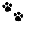 paw prints
