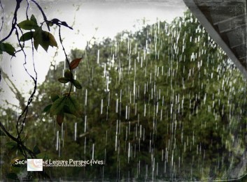 Winter rain pours from the sky on a dismal gray day