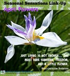 Seasonal Sensations Link-Up April Flowers