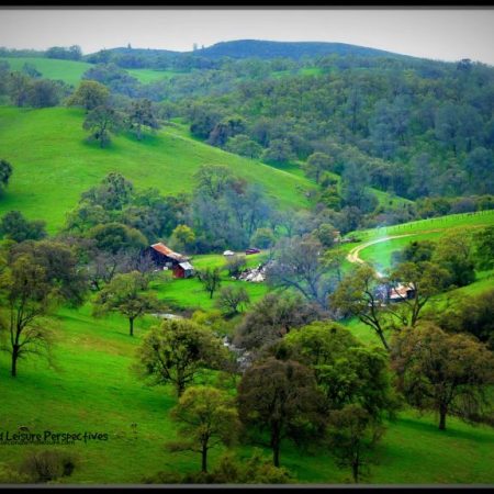 Mountain Greenery; Green Sierra foothills