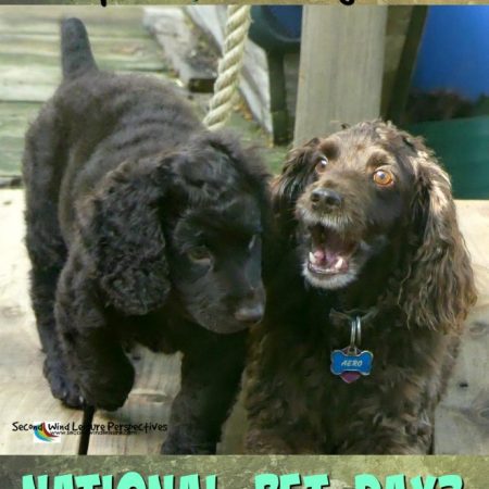 What are you doing for National Pet Day?