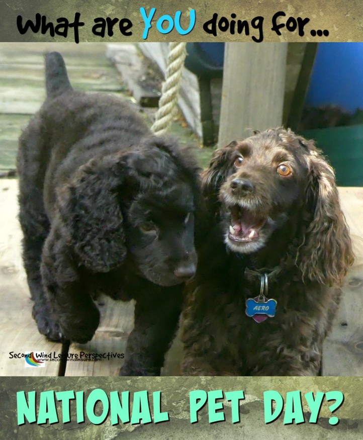 What are you doing for National Pet Day?