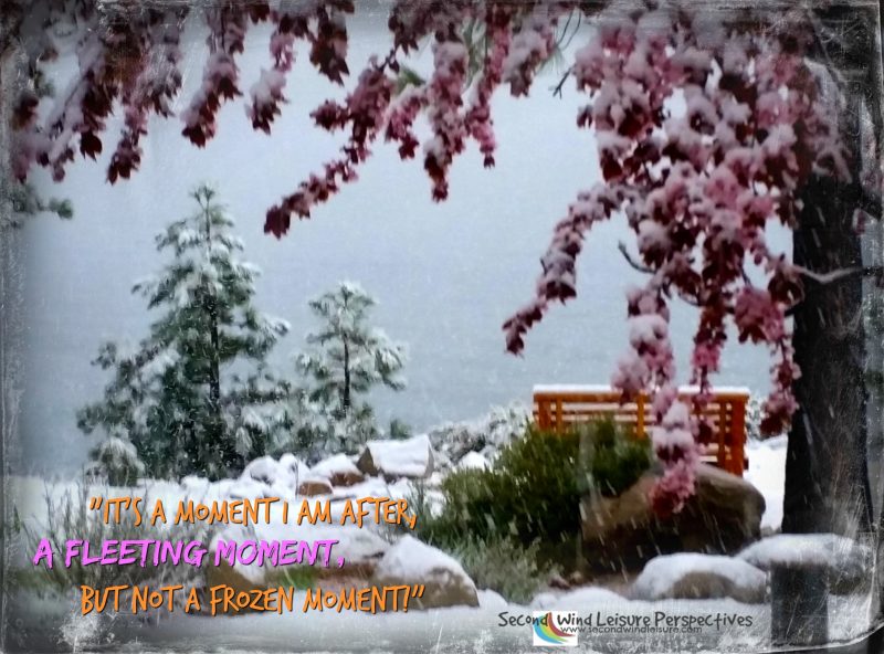 Evanescent Spring Snow