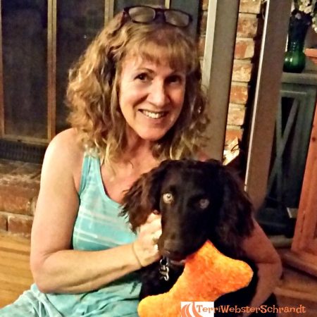 Brodie's home and missed his orange pillow.